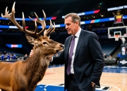 雄鹿主帅麦克·布登霍尔泽赛季末摩擦频现