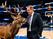 雄鹿主帅麦克·布登霍尔泽赛季末摩擦频现