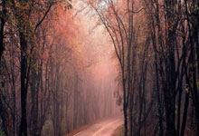 曼联或放弃1500万签内维斯，接洽后不满意！阿莫林冬窗恐一无所获