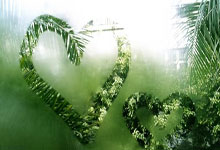 曼联或放弃1500万签内维斯，接洽后不满意！阿莫林冬窗恐一无所获