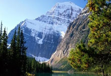 八分王联手76人擒勇士场上表现抢眼